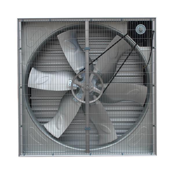 j9九游会手机版:建阳：科技特派员为作物“开防寒防冻良方”